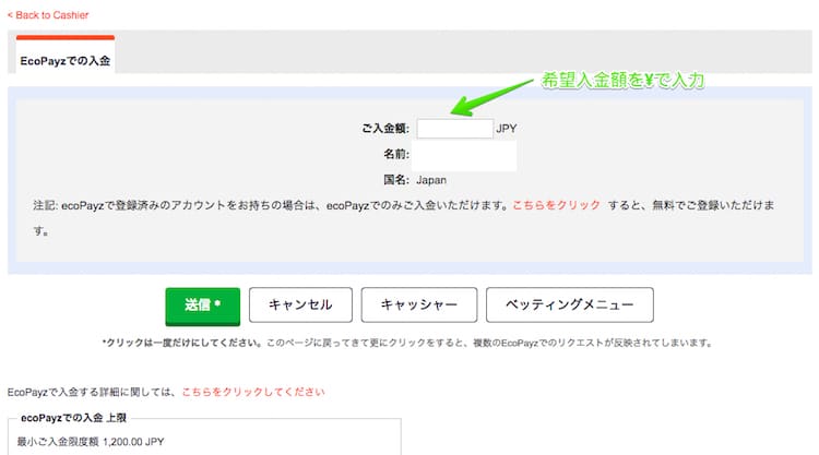 ピナクル-ecopayz-入金方法