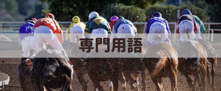 ネット競馬 - 専門用語