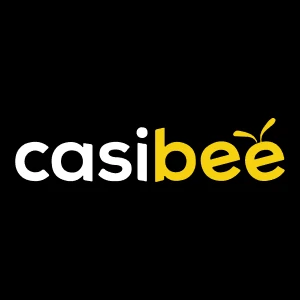 Casibee レビュー